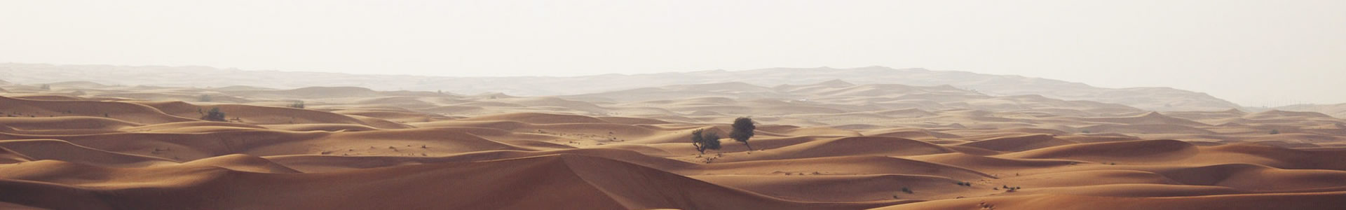 ƴƼ޹˾